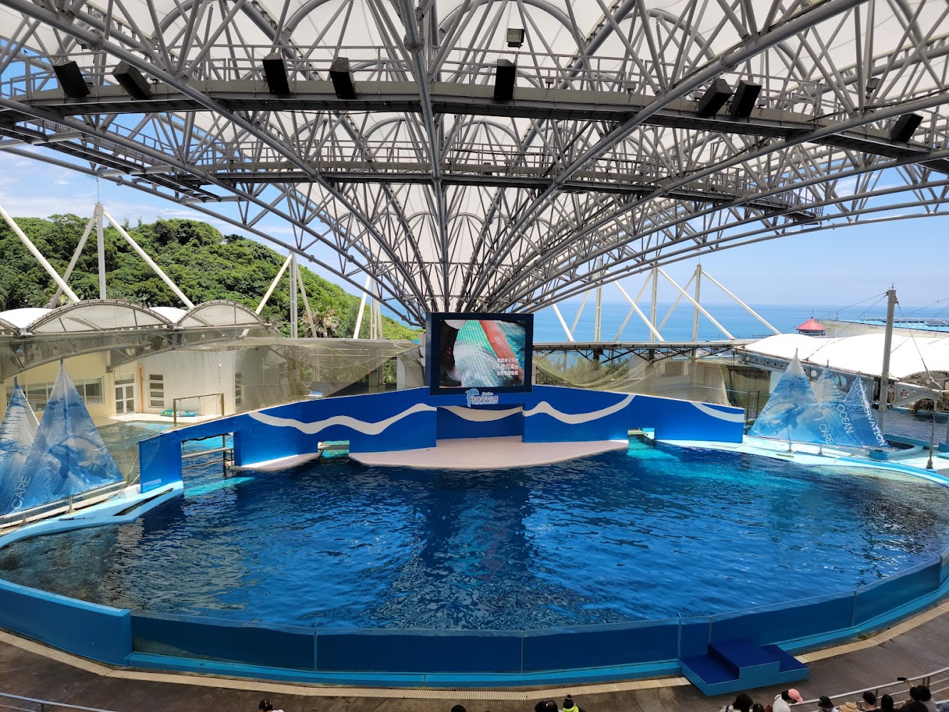 公車｜花蓮海洋公園：全家同樂的玩樂天堂