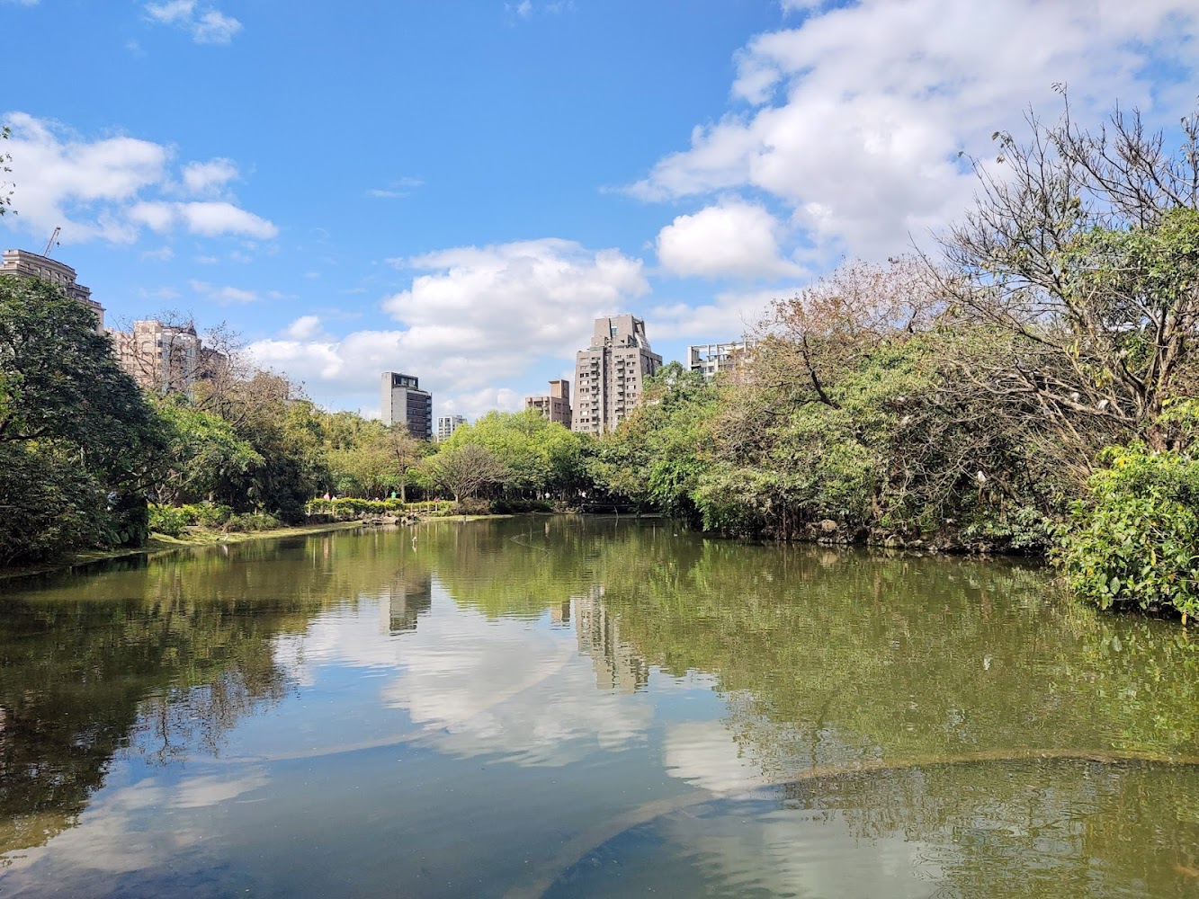 瀏覽相片大安森林公園｜台北景點探索：十大必訪地點與隱藏版推薦