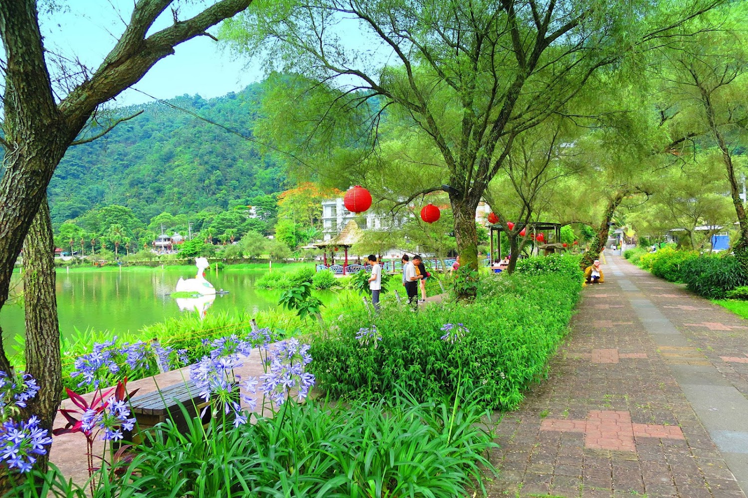 虎頭山觀景平台｜埔里景點推薦｜探索南投埔里必訪的五大景點