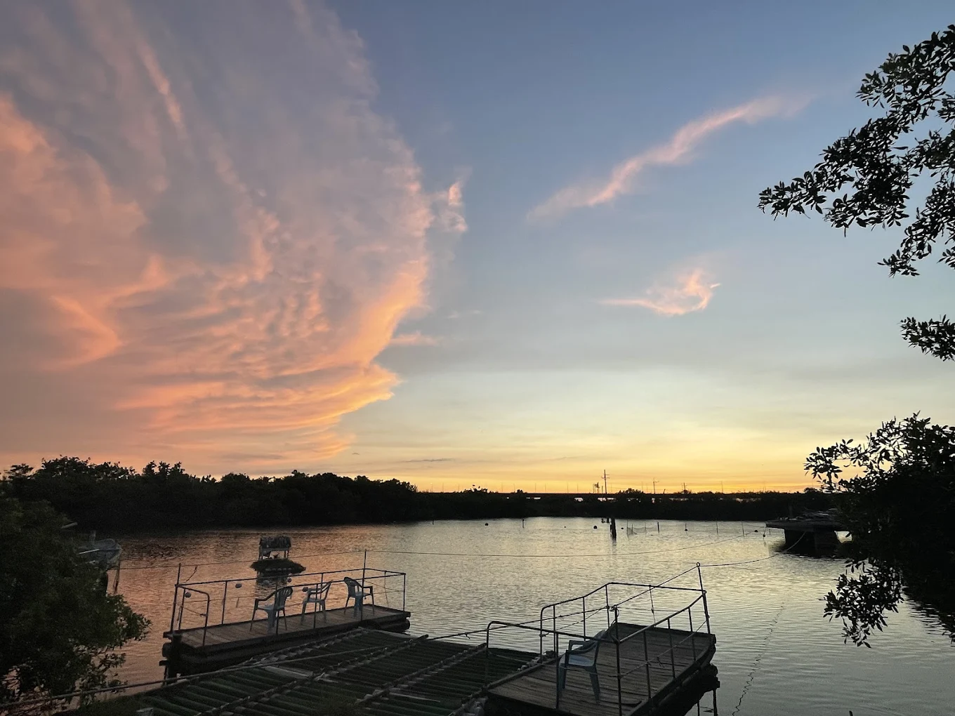 台江國家公園旅遊全攻略｜紅樹林秘境、黑面琵鷺、美食交通一次看懂！