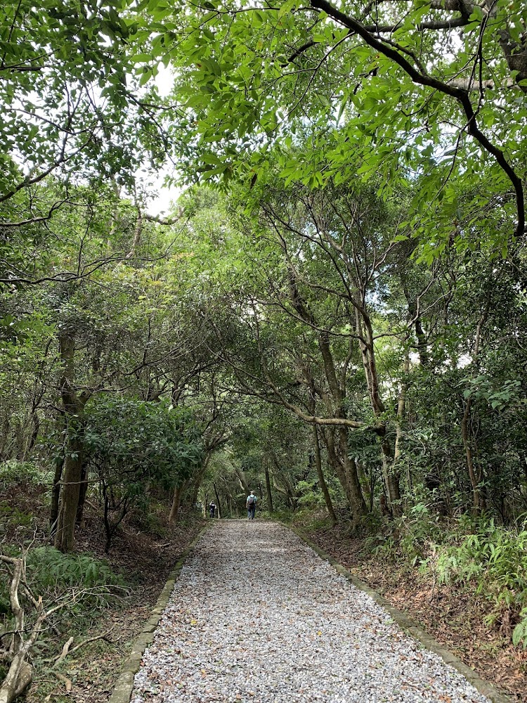 大崙頭步道|台北大縱走:探索隱藏在城市與自然間的步道