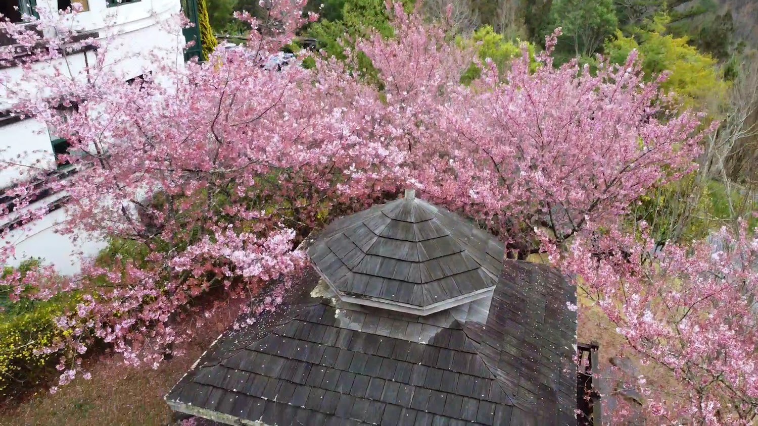 客房｜武陵農場住宿攻略｜提升你的旅遊體驗