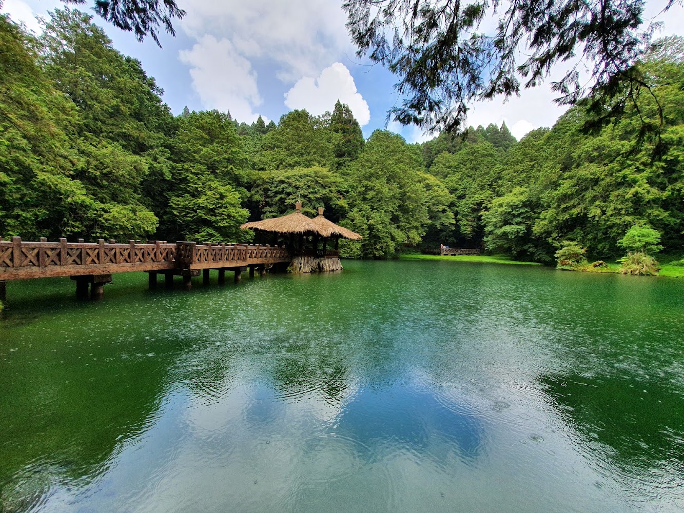 瀏覽相片阿里山國家森林遊樂區｜阿里山森林遊樂區：探訪台灣最美的自然秘境與文化之旅