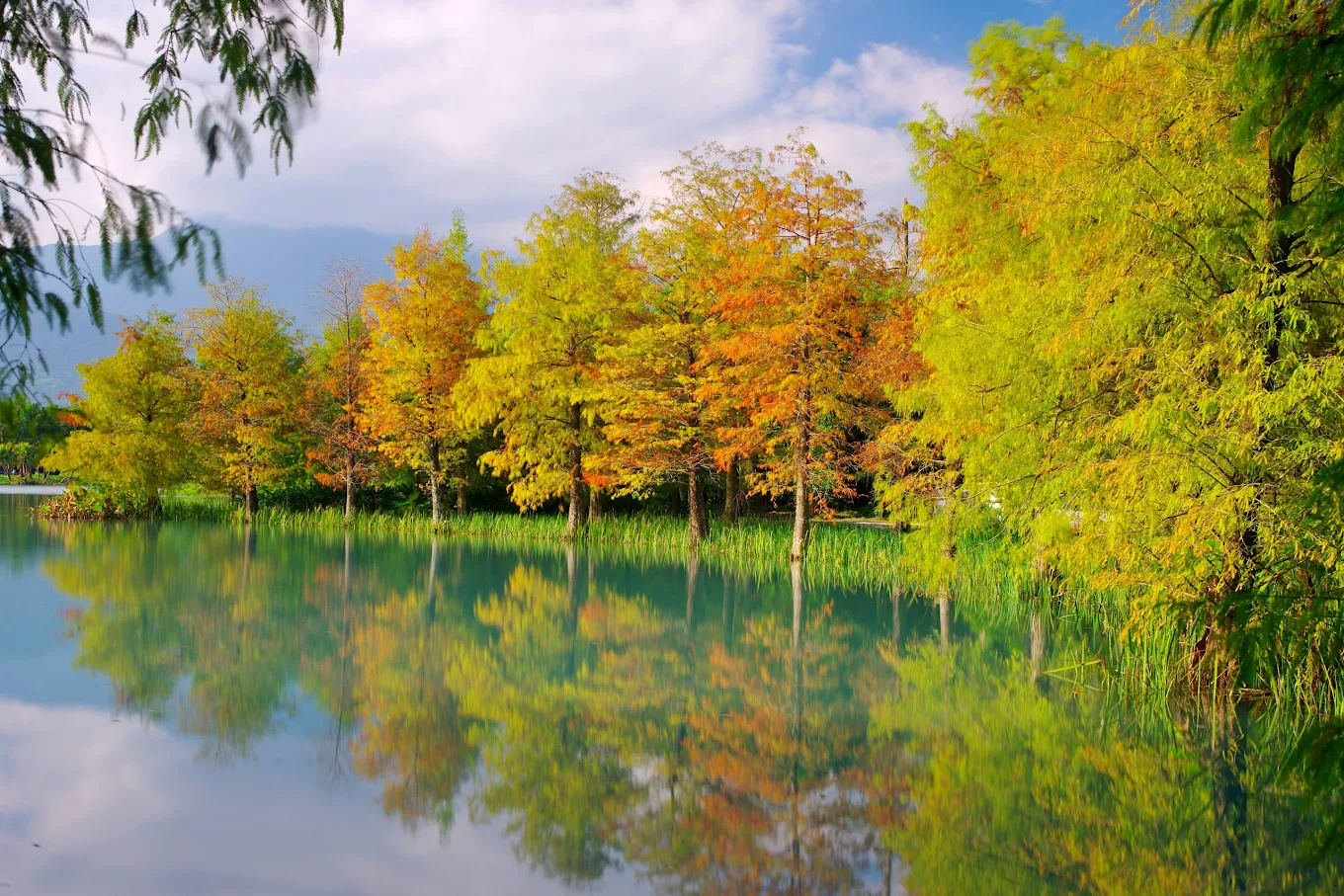 台灣感性秘境｜5個讓你一秒心動的隱世好景
