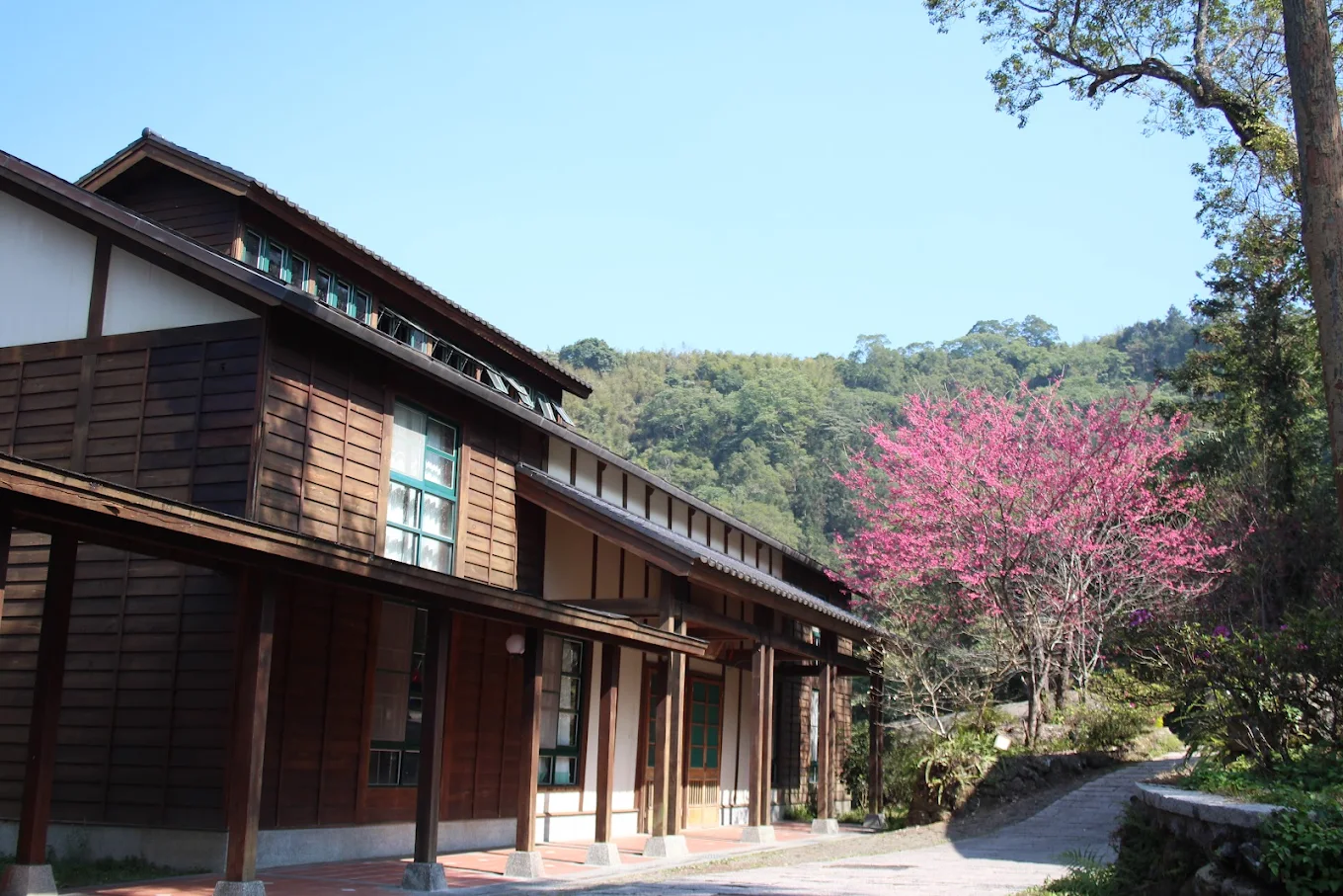 🌲 南投旅遊必訪：探索溪頭自然教育園區及周邊五大景點