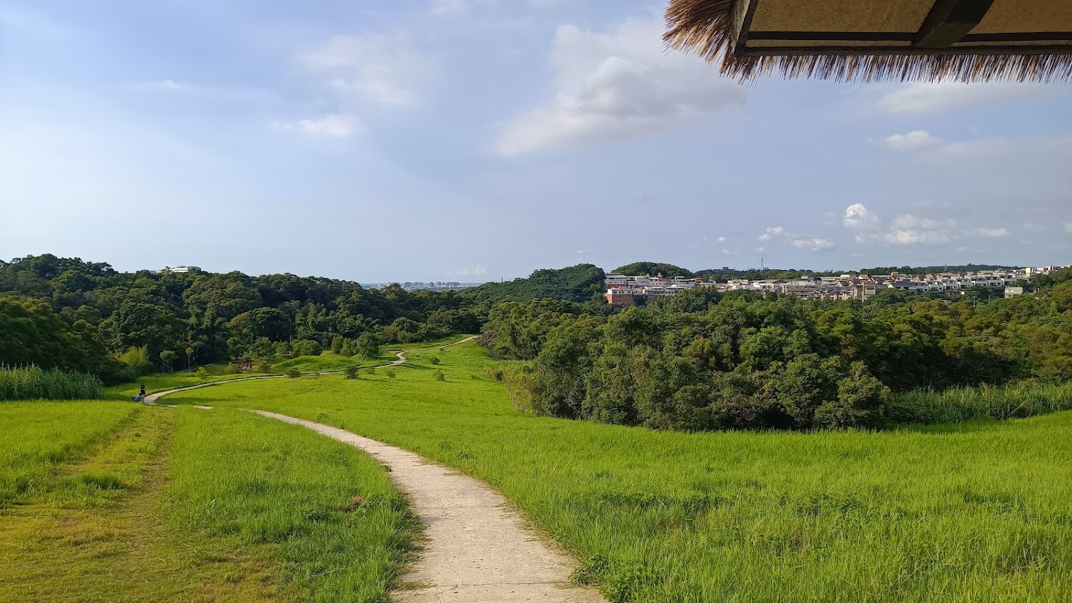新竹景點：不容錯過的五大必遊地點