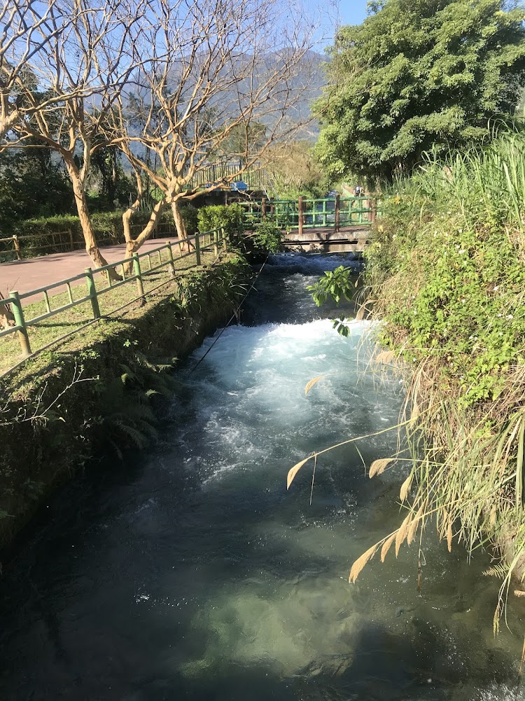 初英親水生態公園｜花蓮親子景點推薦｜必訪的家庭友好場所