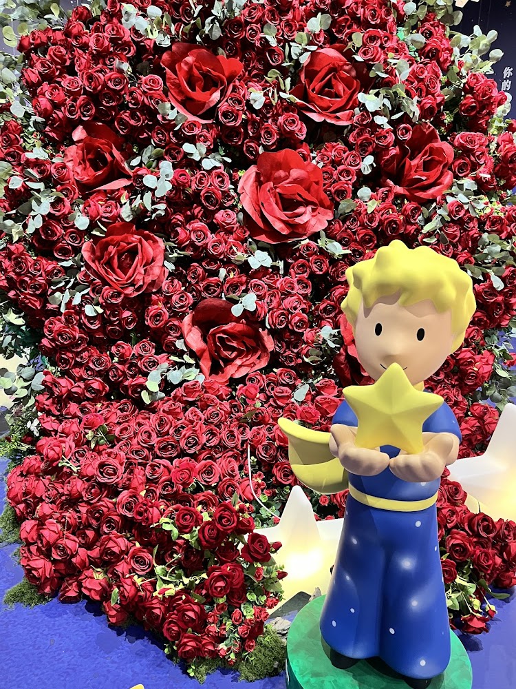 所有圖片｜蓋婭莊園｜探索最美的旅遊景點及秘境