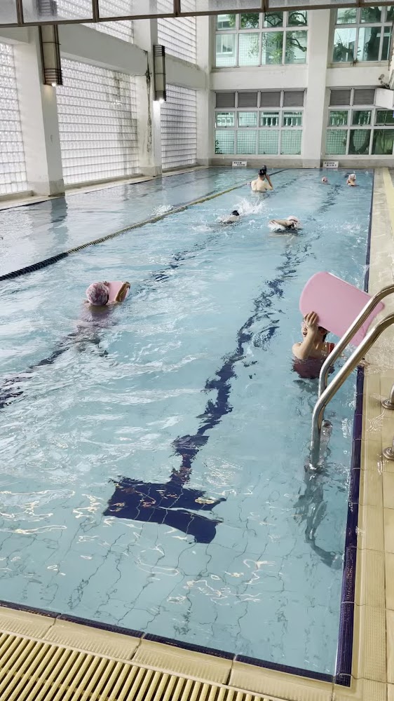 最新|麗多森林溫泉酒店:享受天然療癒之旅的最佳選擇