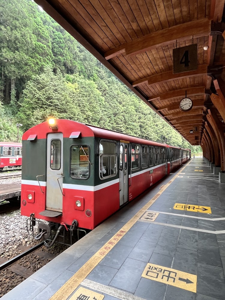 所有｜阿里山小火車：如何讓你的旅行更加難忘
