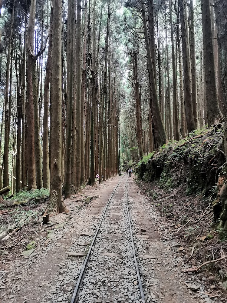 Tefuye Historic Trail (southern trailhead)｜特富野古道：探索台灣最美健行路線的5大秘訣