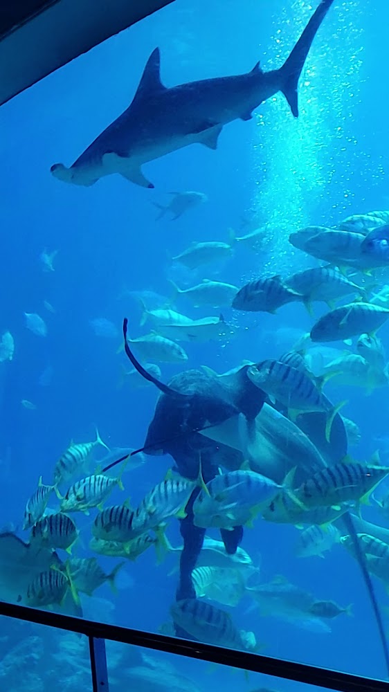 墾丁國家公園｜墾丁國家公園必訪景點與活動｜讓你的旅遊體驗更完美