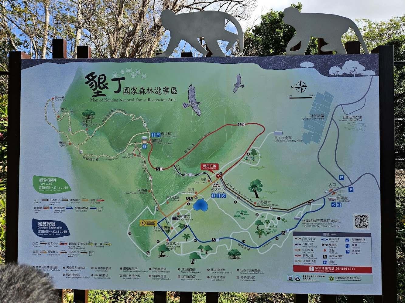 影片｜墾丁國家森林遊樂區：發現台灣的天然瑰寶與秘境