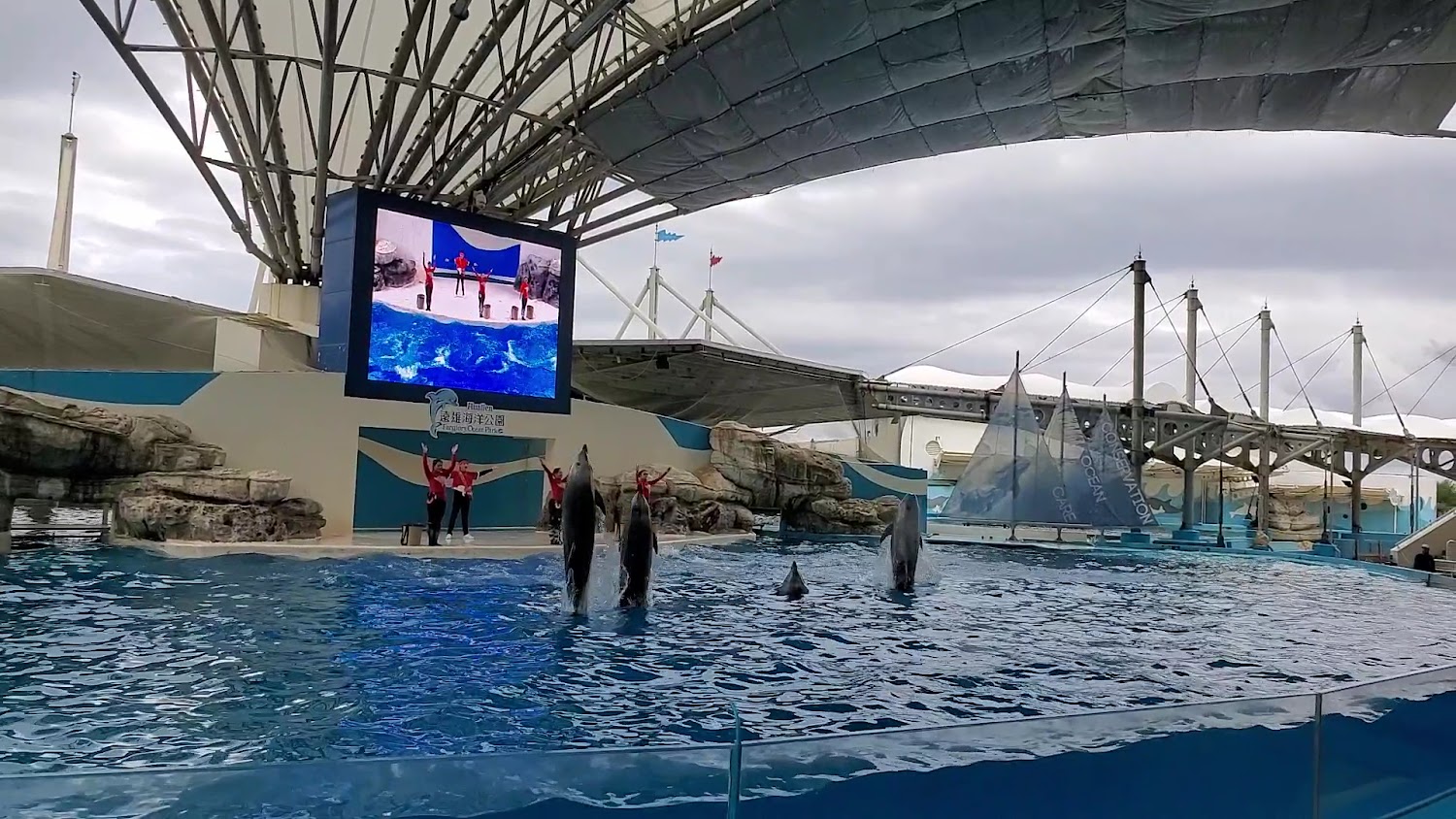 最新｜探索遠雄海洋公園：最佳親子旅遊目的地