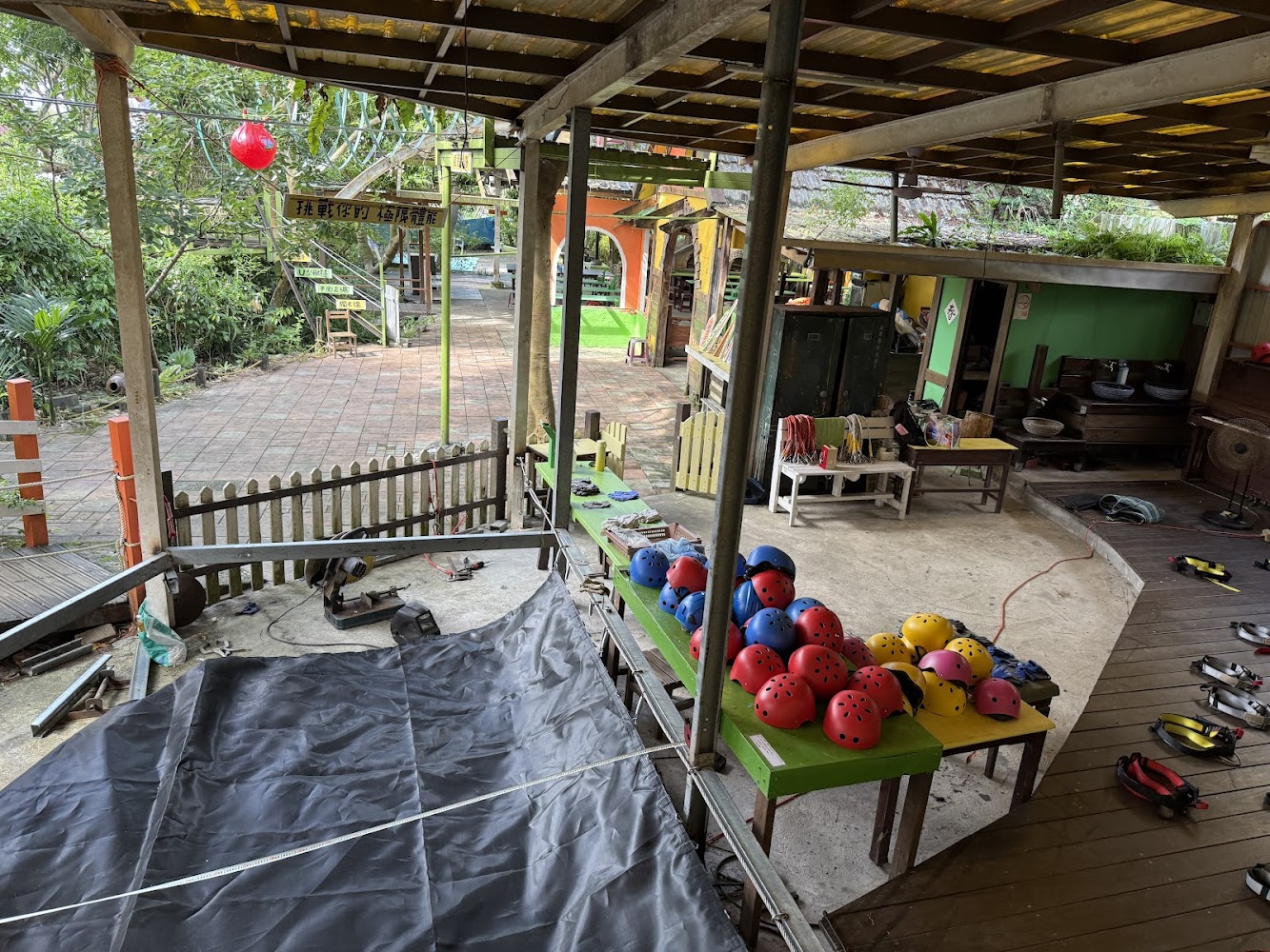 親子農場的樂趣：五大必訪景點推薦