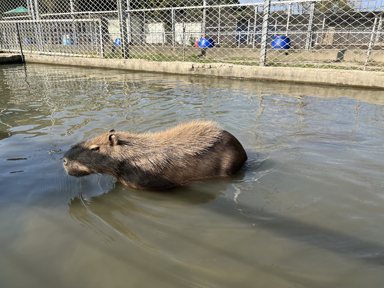 親子農場的樂趣：五大必訪景點推薦