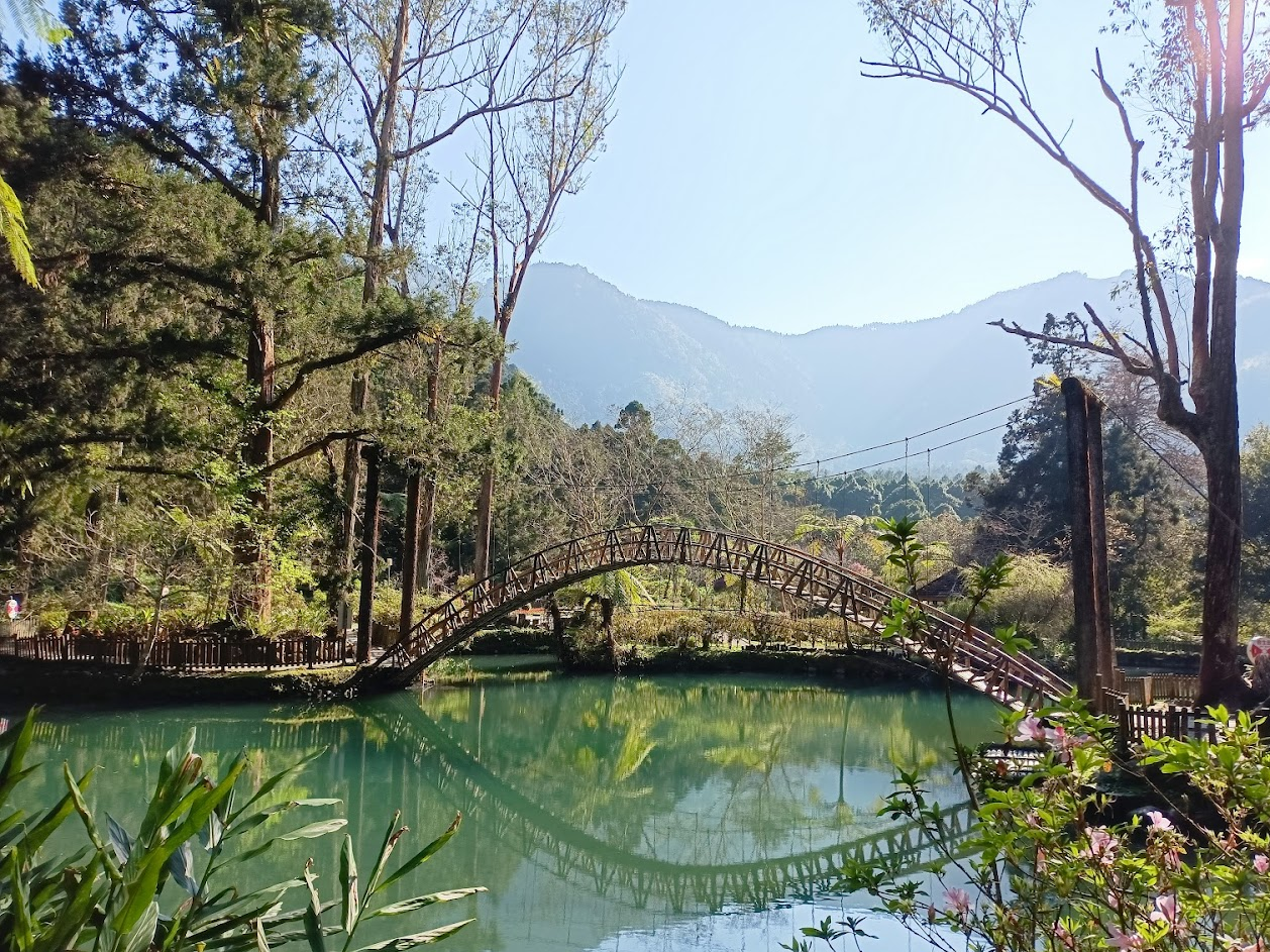 2024南投景點必訪清單：5個不容錯過的隱藏寶地｜溪頭森林遊樂區