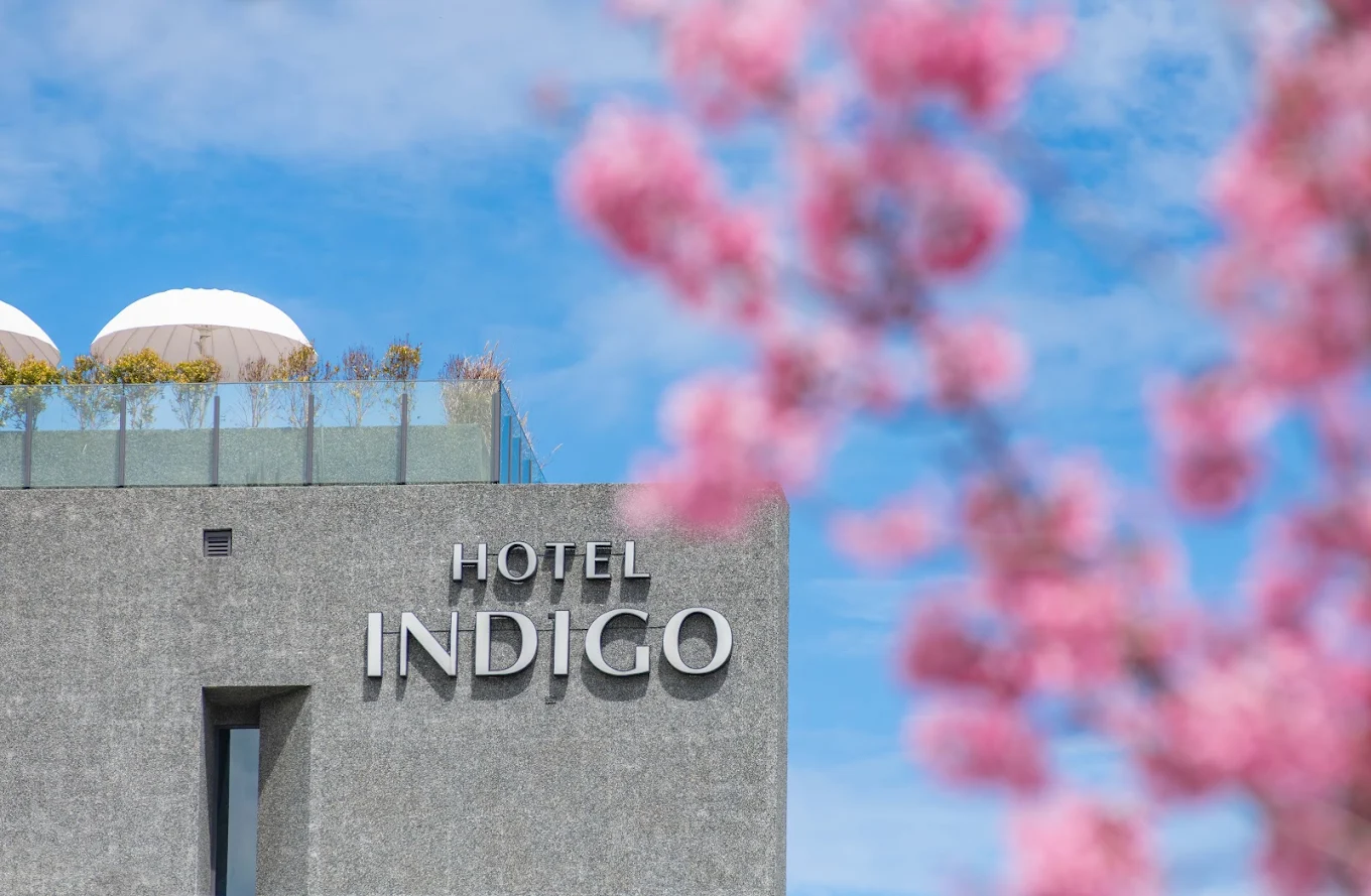 阿里山英迪格酒店 Hotel Indigo Alishan｜山巒雲海中的精品五星住宿體驗