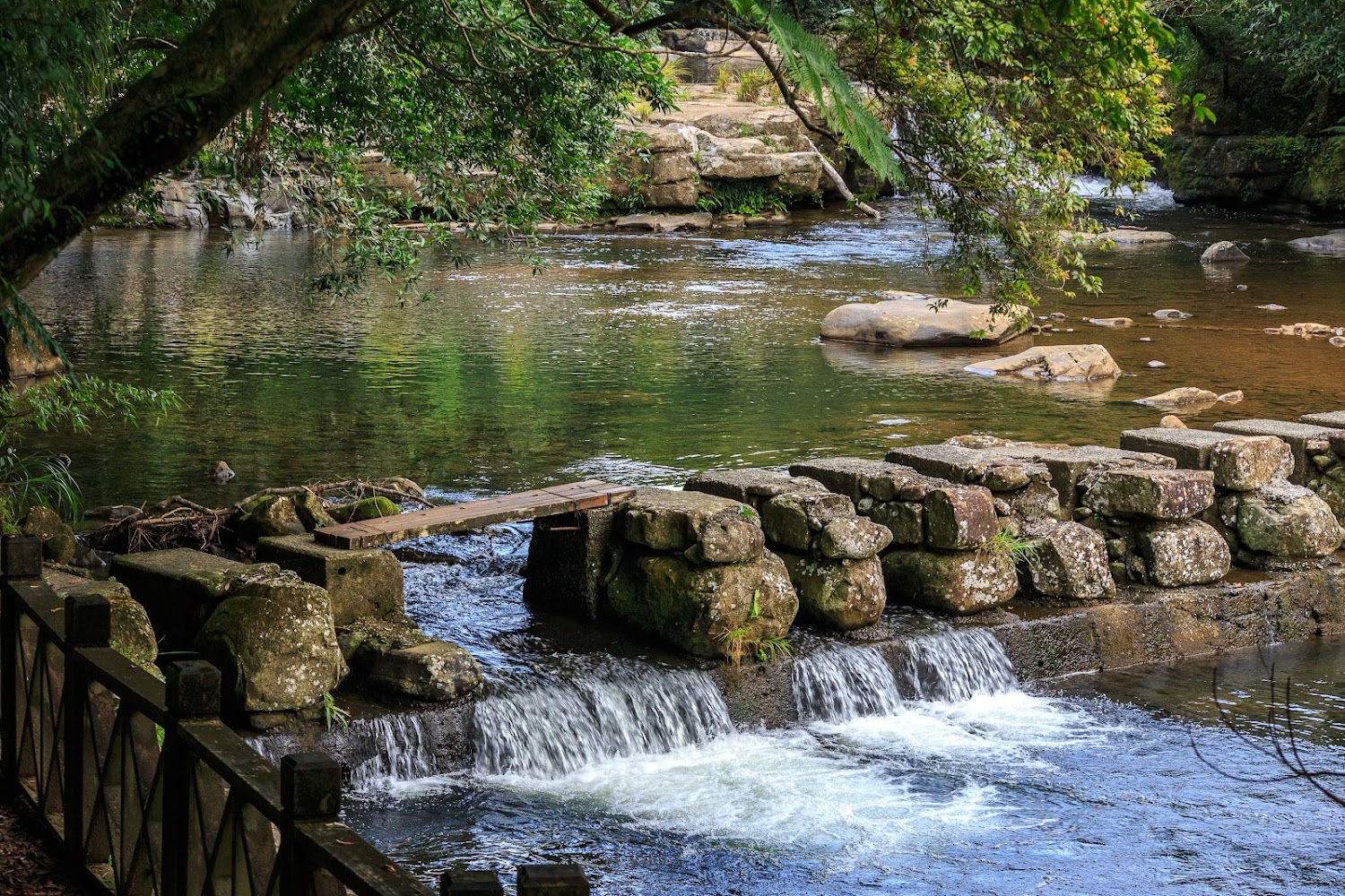 虎豹潭古道｜虎豹潭：探索自然美景與安全注意事項