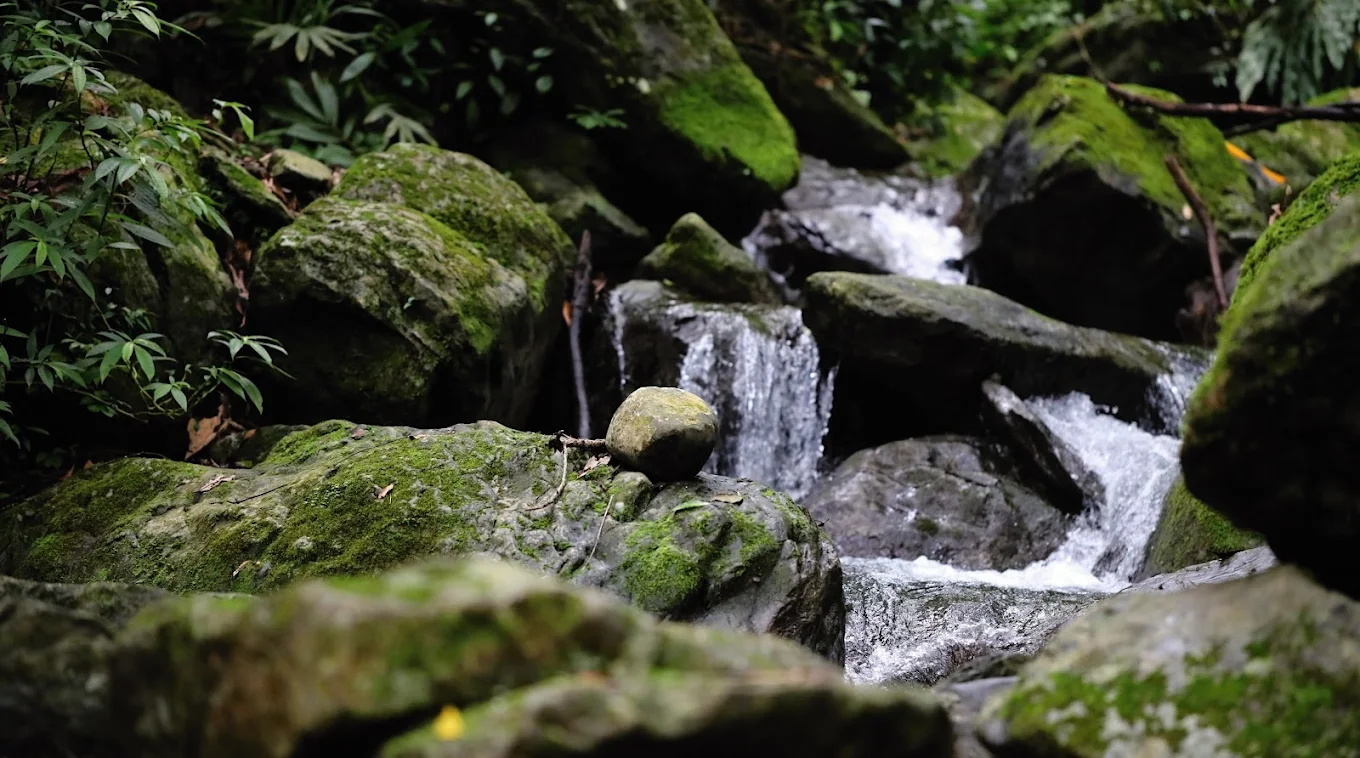 中部避暑景點推薦：發掘夏季的清涼之地