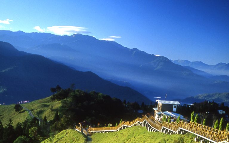 探索清境農場的青青草原｜最佳旅遊指南