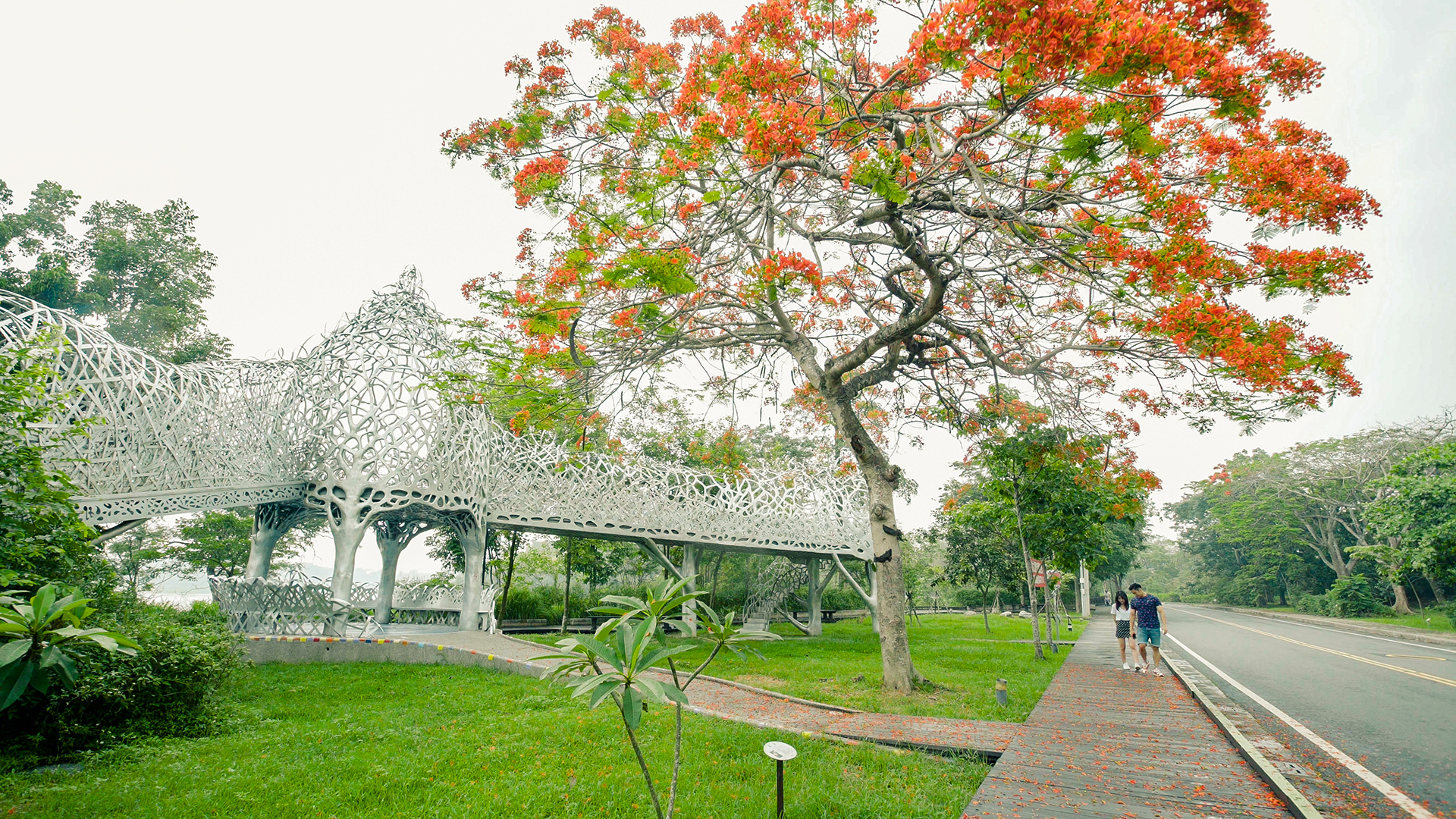 嘉義景點探索：森林之歌、KANO公園與蘭潭必去秘境