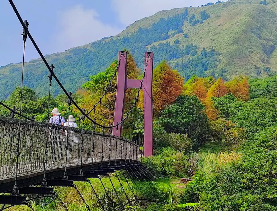 【陽明山吊橋與秘境景點全攻略】菁山吊橋、牛奶湖、半嶺步道，陽明山一日遊這樣玩最順！