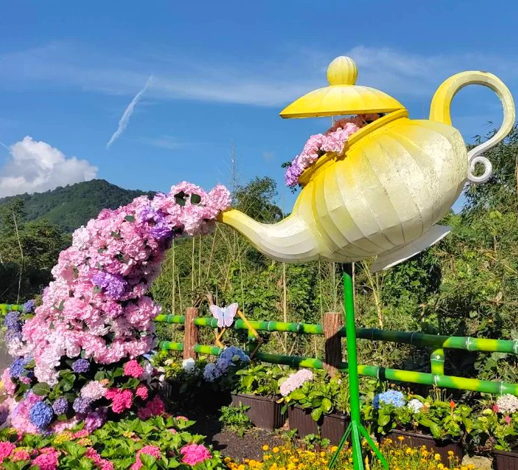 【2025桃園繡球花季】夢幻賞花景點推薦｜免費入園、親子體驗、花海野餐全收錄！