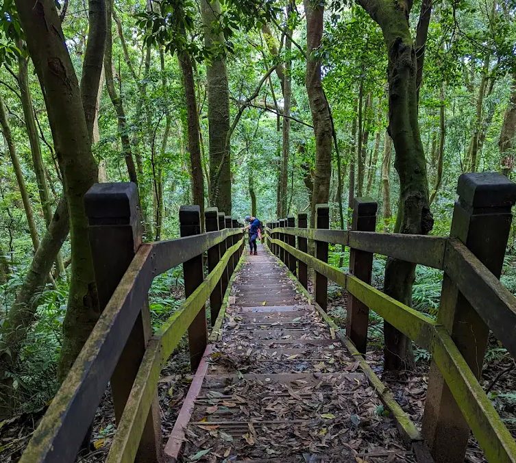 馬那邦山的登山之旅：尋找完美的親子健行地點