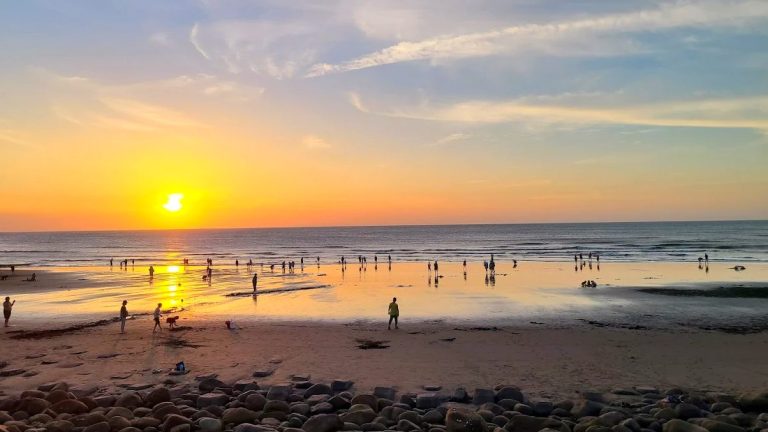 🚲 新豐一日遊推薦｜5大自然景點、海濱步道與親子放鬆提案
