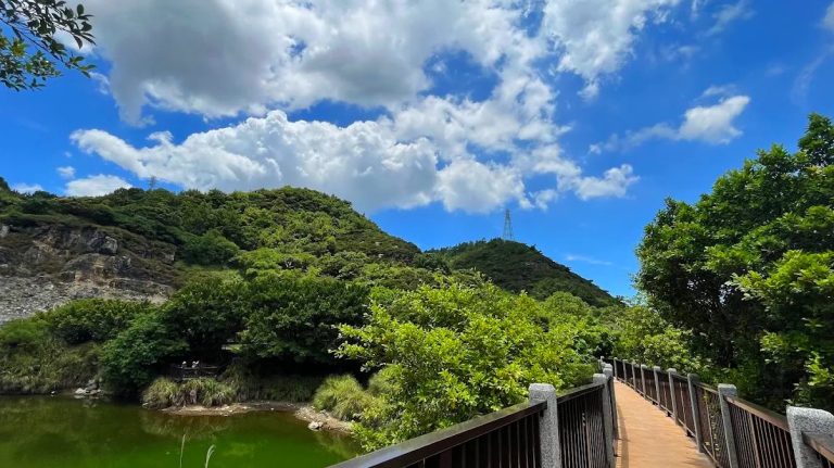 🌿陽明山國家公園一日遊攻略｜景點、溫泉、美食一次看！