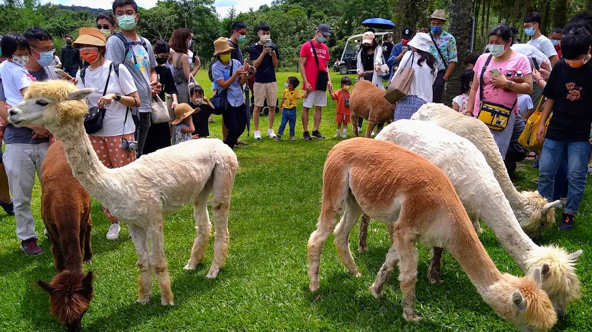 新竹旅遊精選景點｜自然、文化、親子體驗一次滿足！