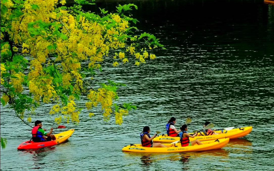 虎頭埤阿勃勒花季必去景點與活動介紹