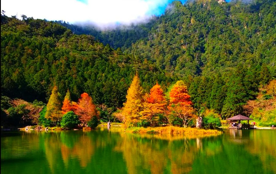 探索馬告生態園區的美麗與奧秘：最佳遊玩攻略