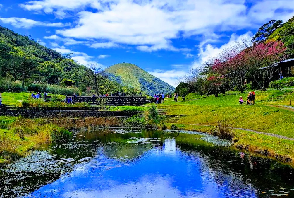 【陽明山國家公園一日遊全攻略】推薦景點、美食與步道路線一次搞懂!