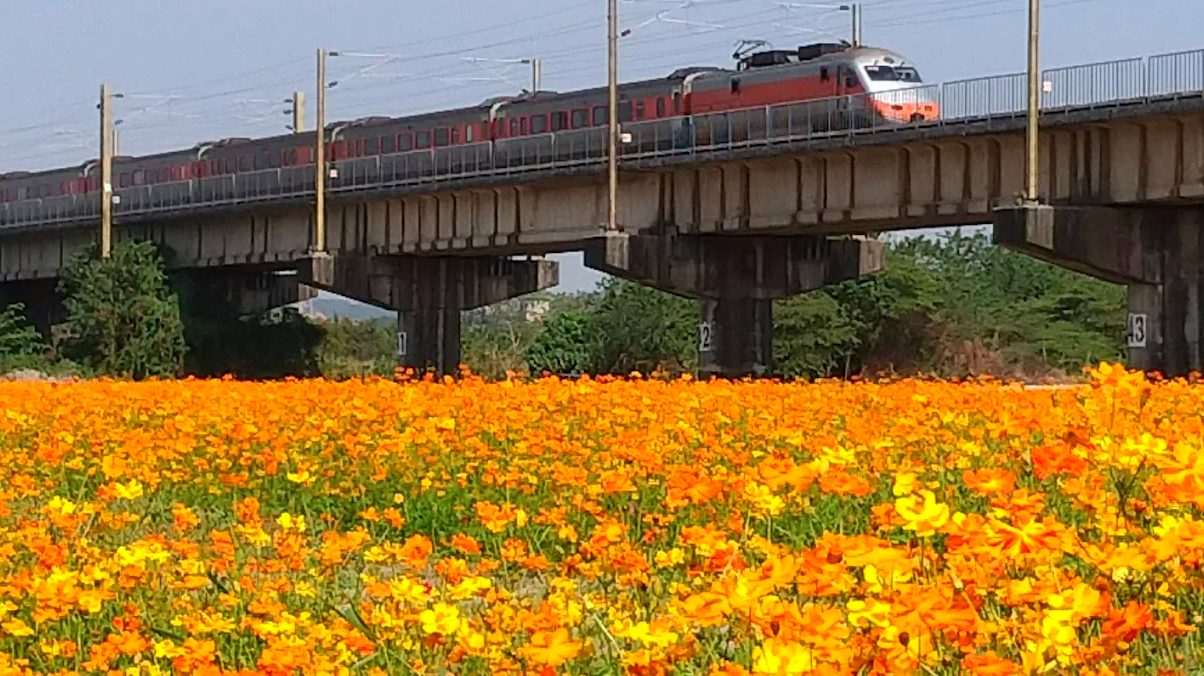 台灣舊鐵橋探索之旅｜走進歷史與風景的交界，打卡高屏溪舊鐵橋、鐵道文化與濕地風光