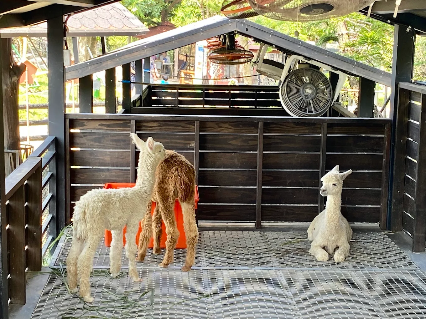 蘇家莊園的探險之旅｜一個能讓你全家同樂的最佳目的地