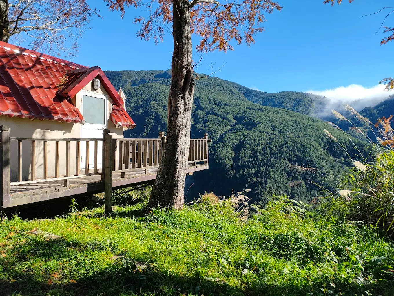 武陵農場完整旅遊指南｜櫻花季、賞楓、住宿、美食與交通一次搞定