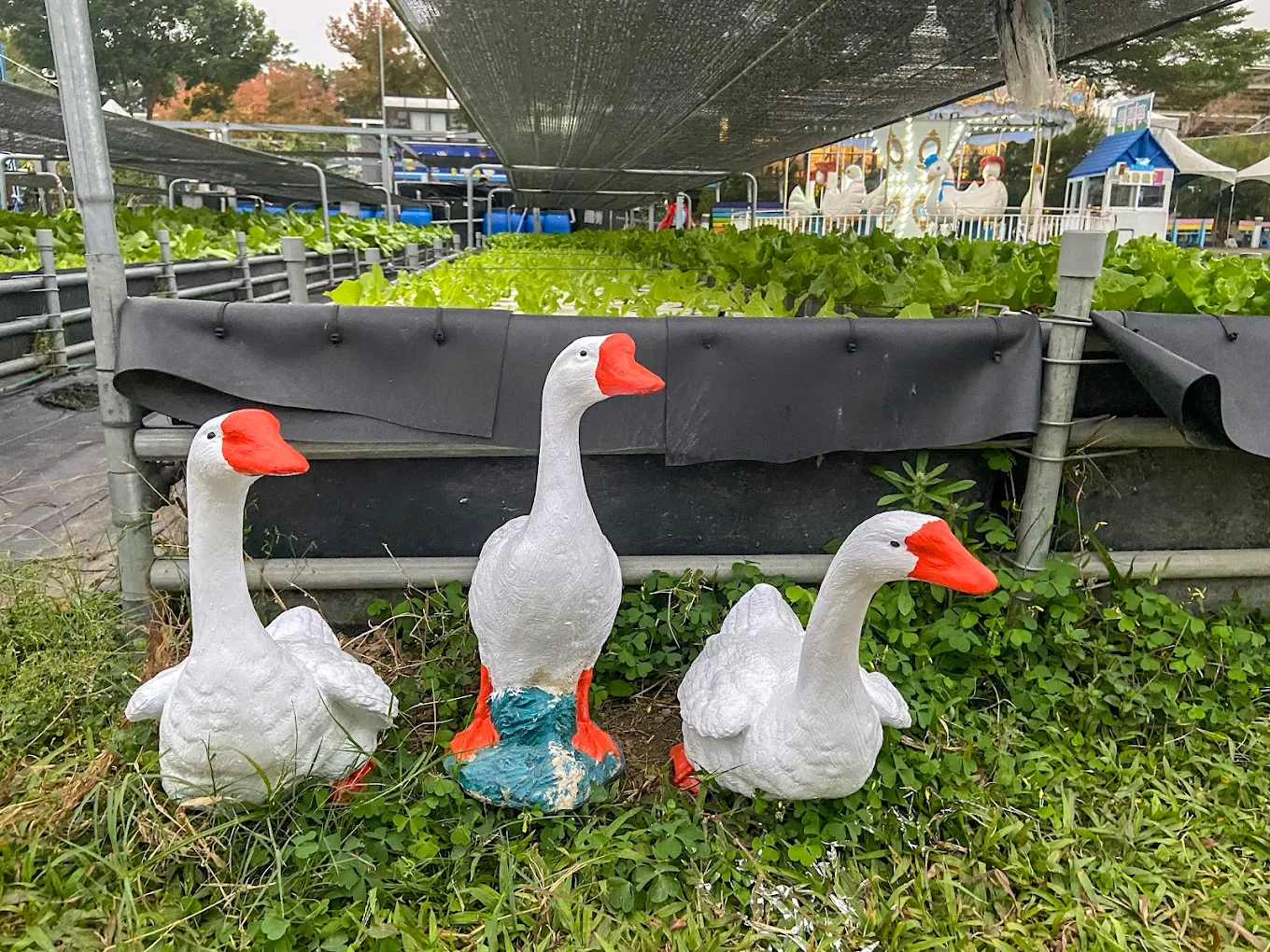 雲林親子景點推薦：給家庭的最佳一日遊玩清單