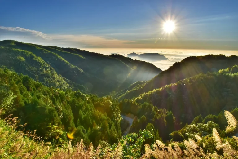 探索雲林景點：不容錯過的五大必訪之地