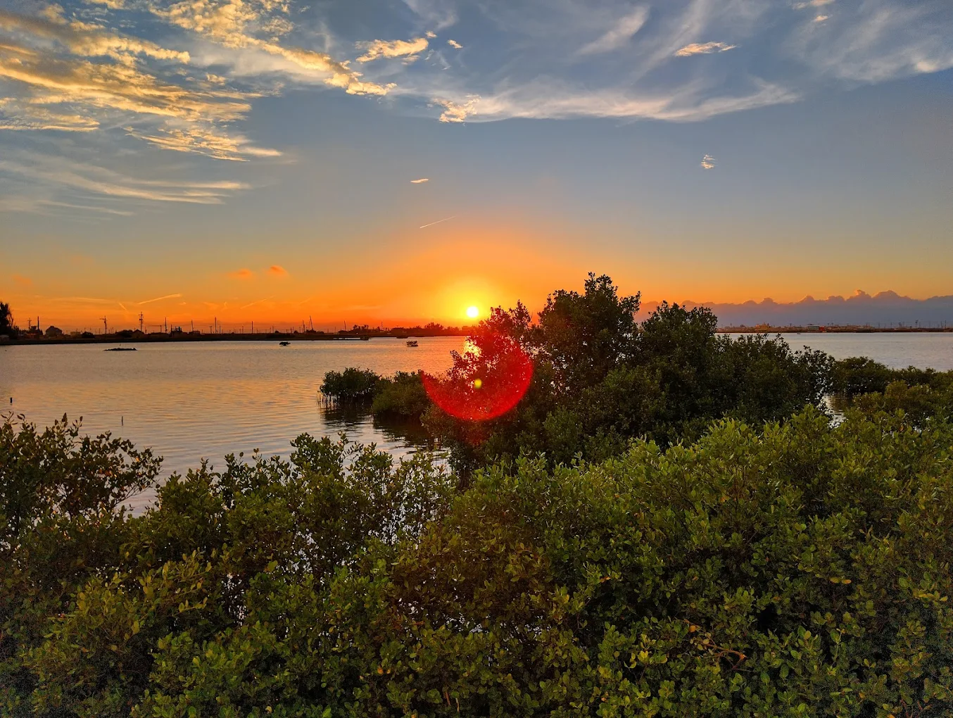成龍濕地旅遊全攻略｜觀景台、海鮮餐廳、親子活動與藝術裝置一次看！