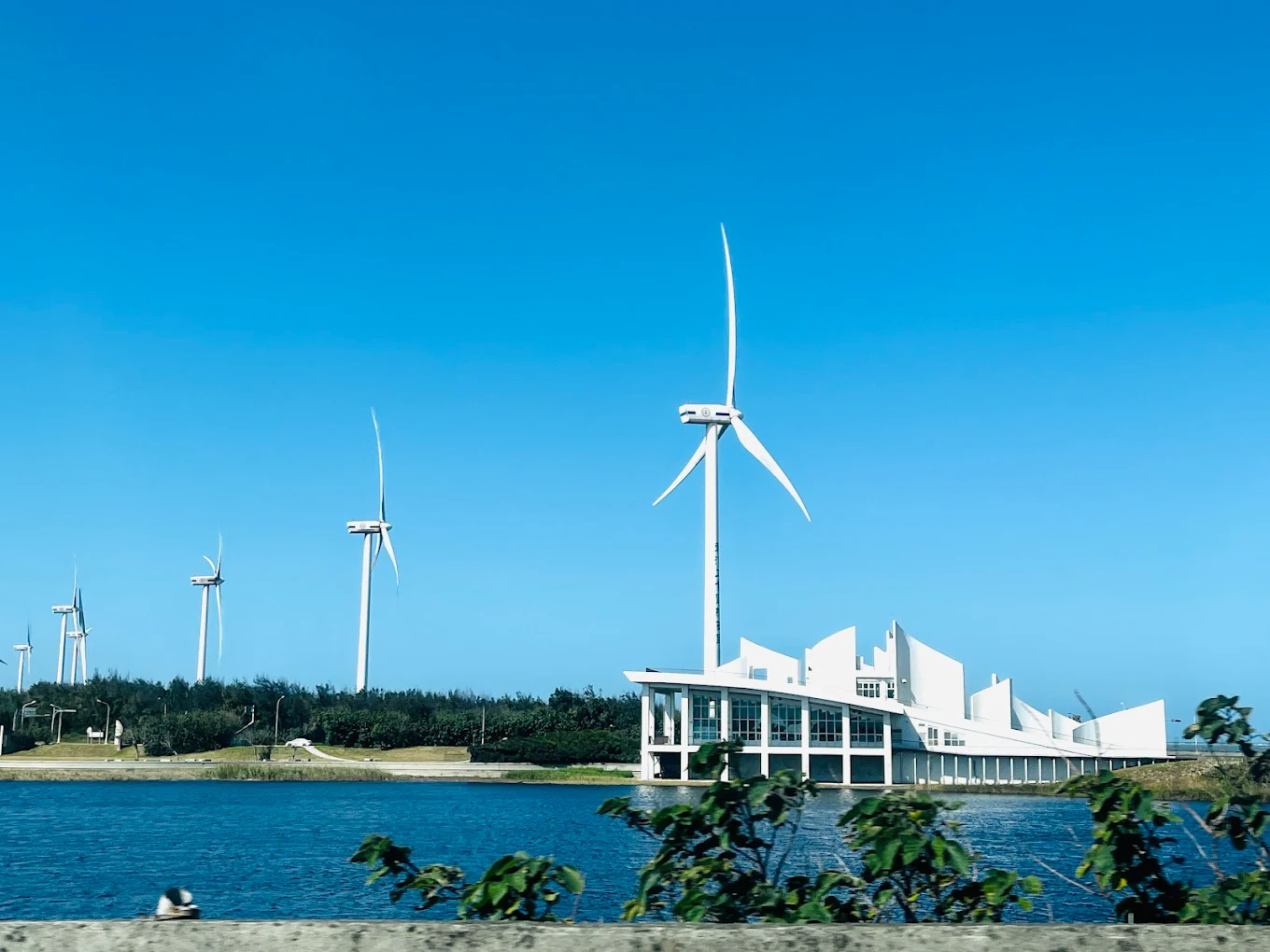 彰濱水樂園親子景點總整理｜玩水放電、拍照賞景、生態體驗一次滿足！