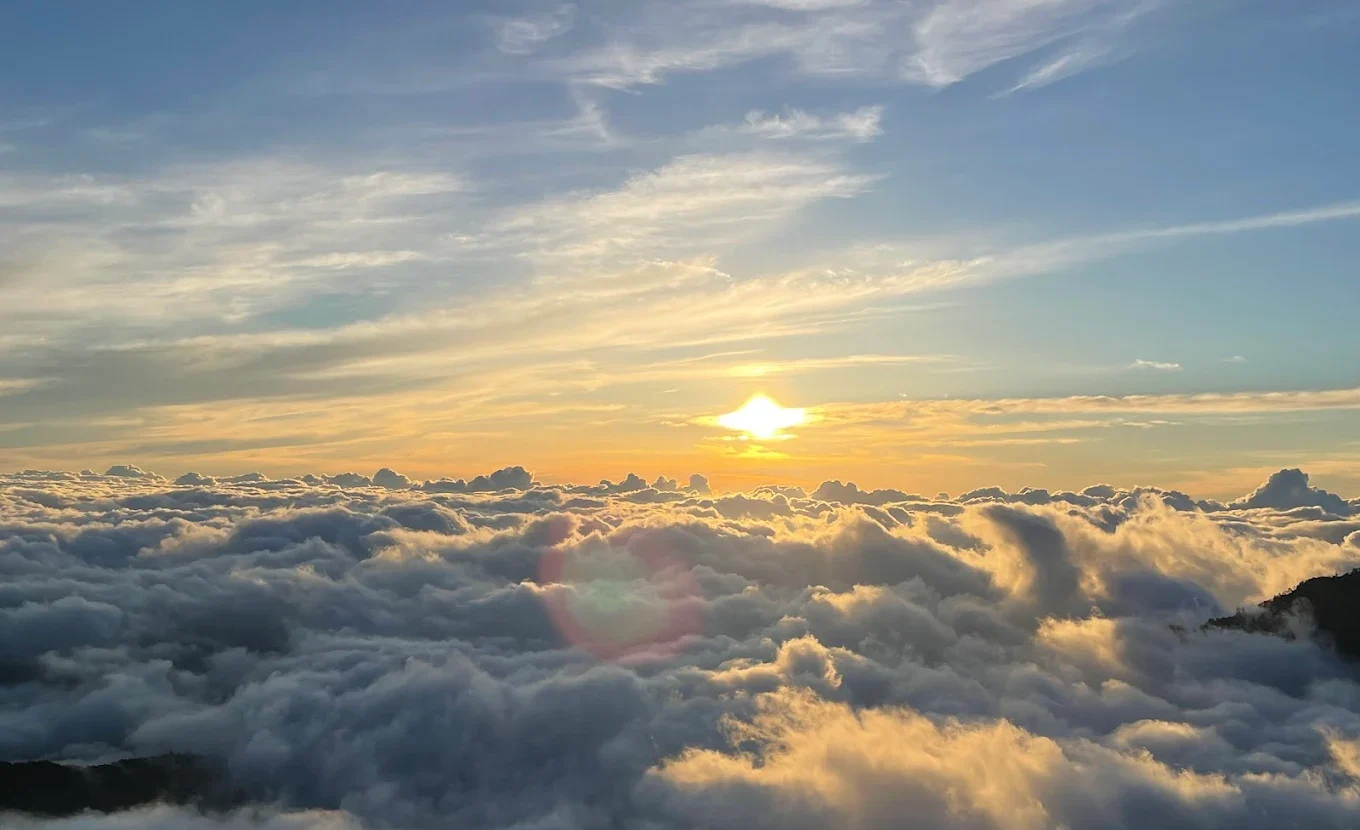 探索望洋山步道：觀日秘境、登山技巧與朝陽步道串聯玩法全攻略