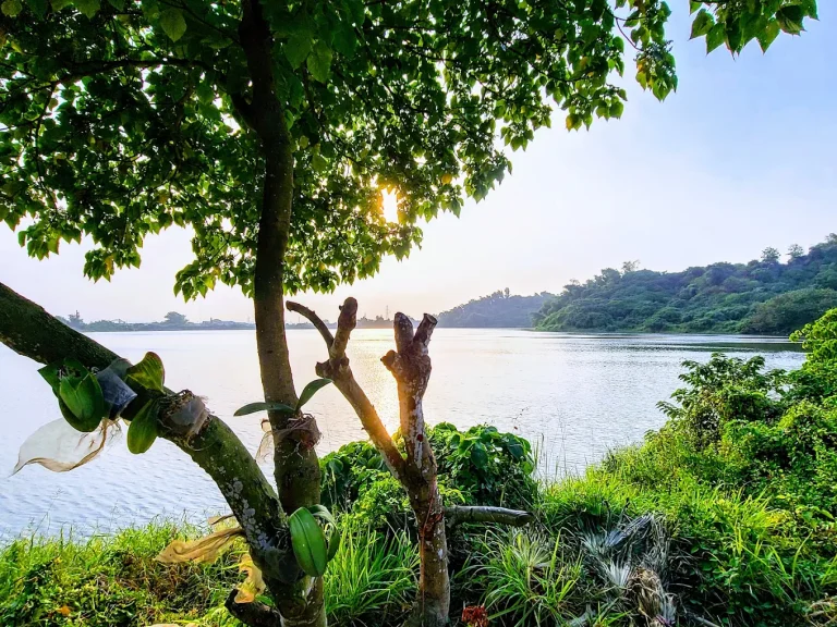 高雄秘境健行推薦｜觀音湖環湖步道×觀音山登山路線，親子旅遊、生態體驗一次滿足！