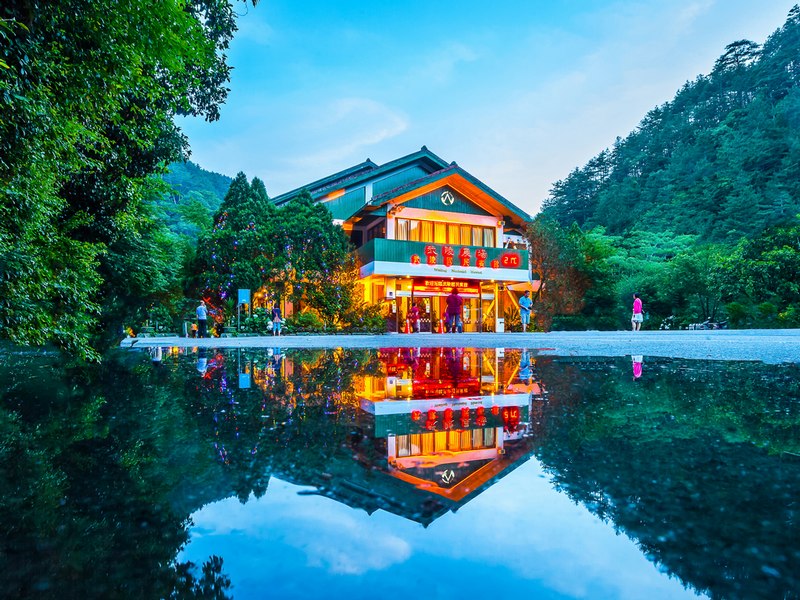 探索武陵農場的最佳玩法：你的完美旅遊指引