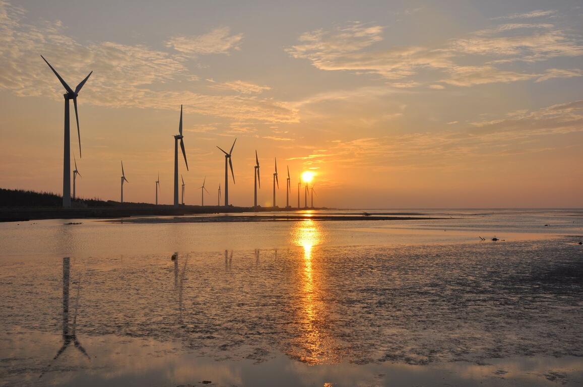 高美濕地：探索台灣最美的野生動物保護區