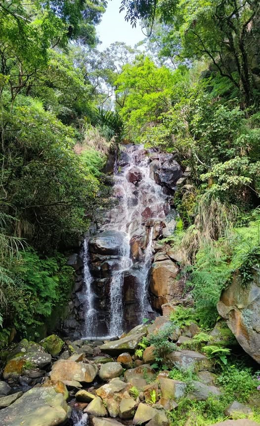 北投的隱藏寶藏：發現北投最美景點的旅行攻略