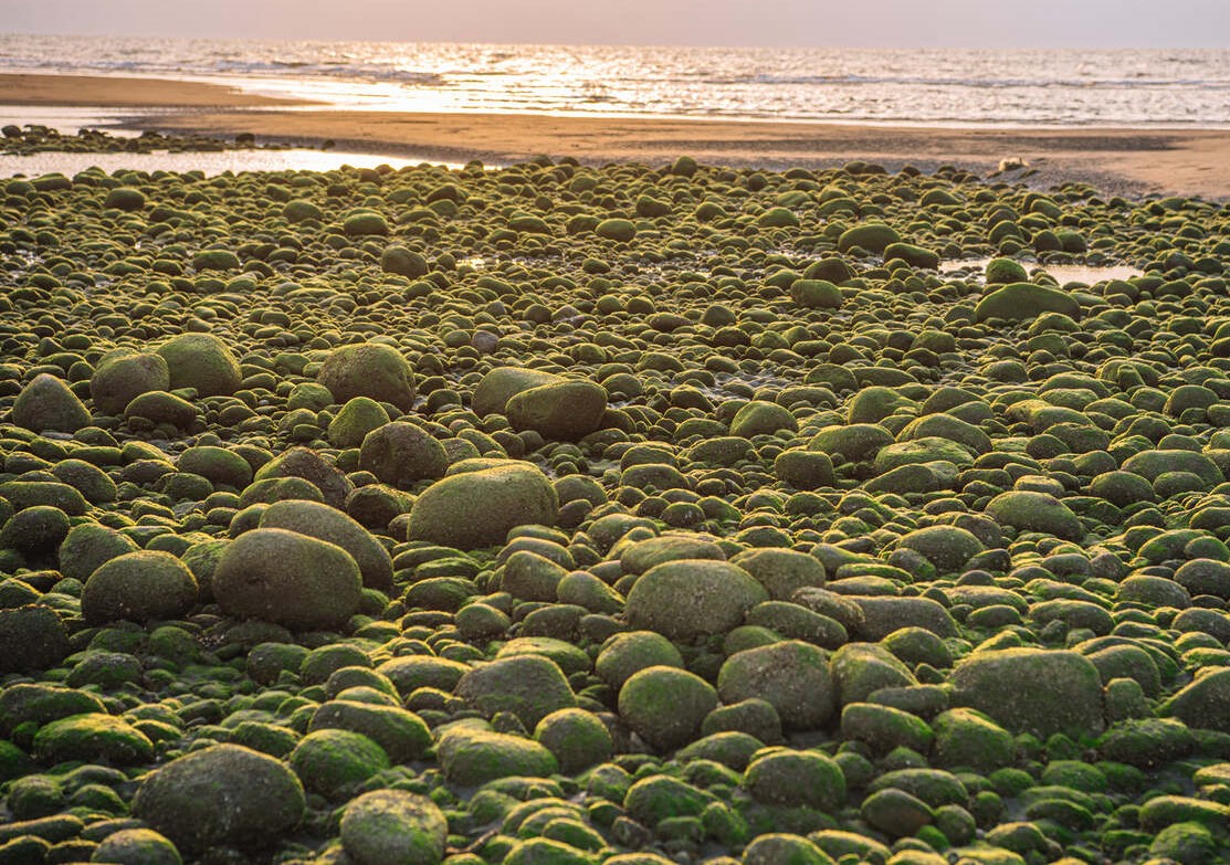 苑裡景點全攻略｜探索苗栗的美麗與文化