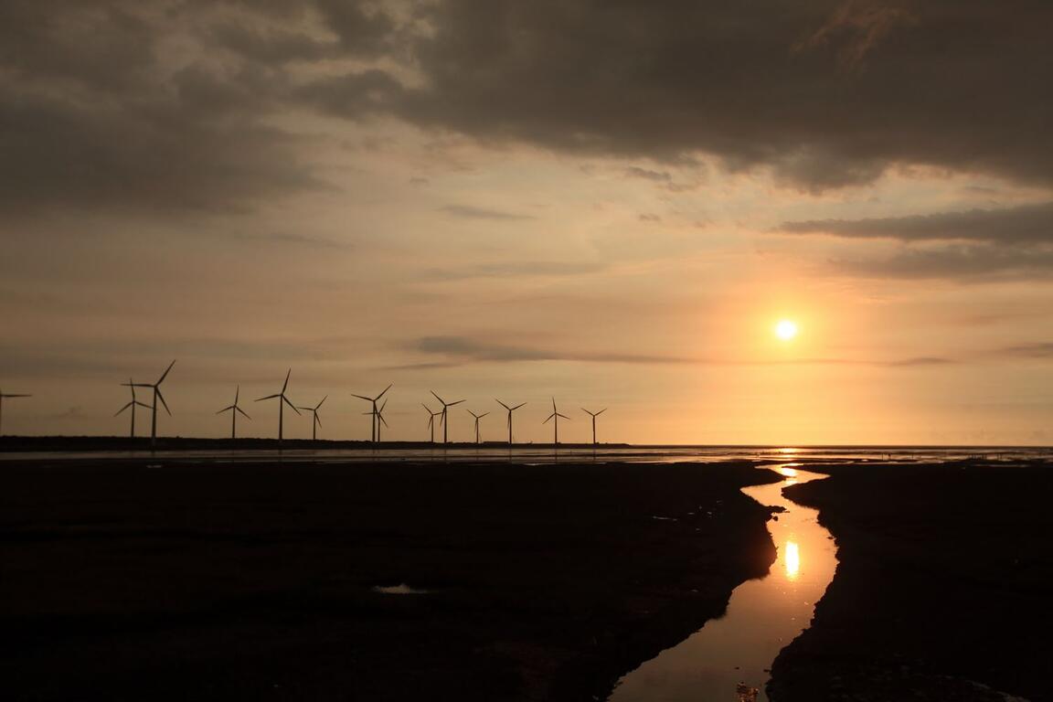 高美濕地：探索台灣最美的野生動物保護區