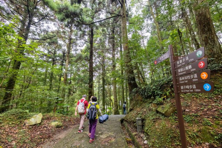 探索五大國家森林遊樂區的最佳選擇：享受大自然之美